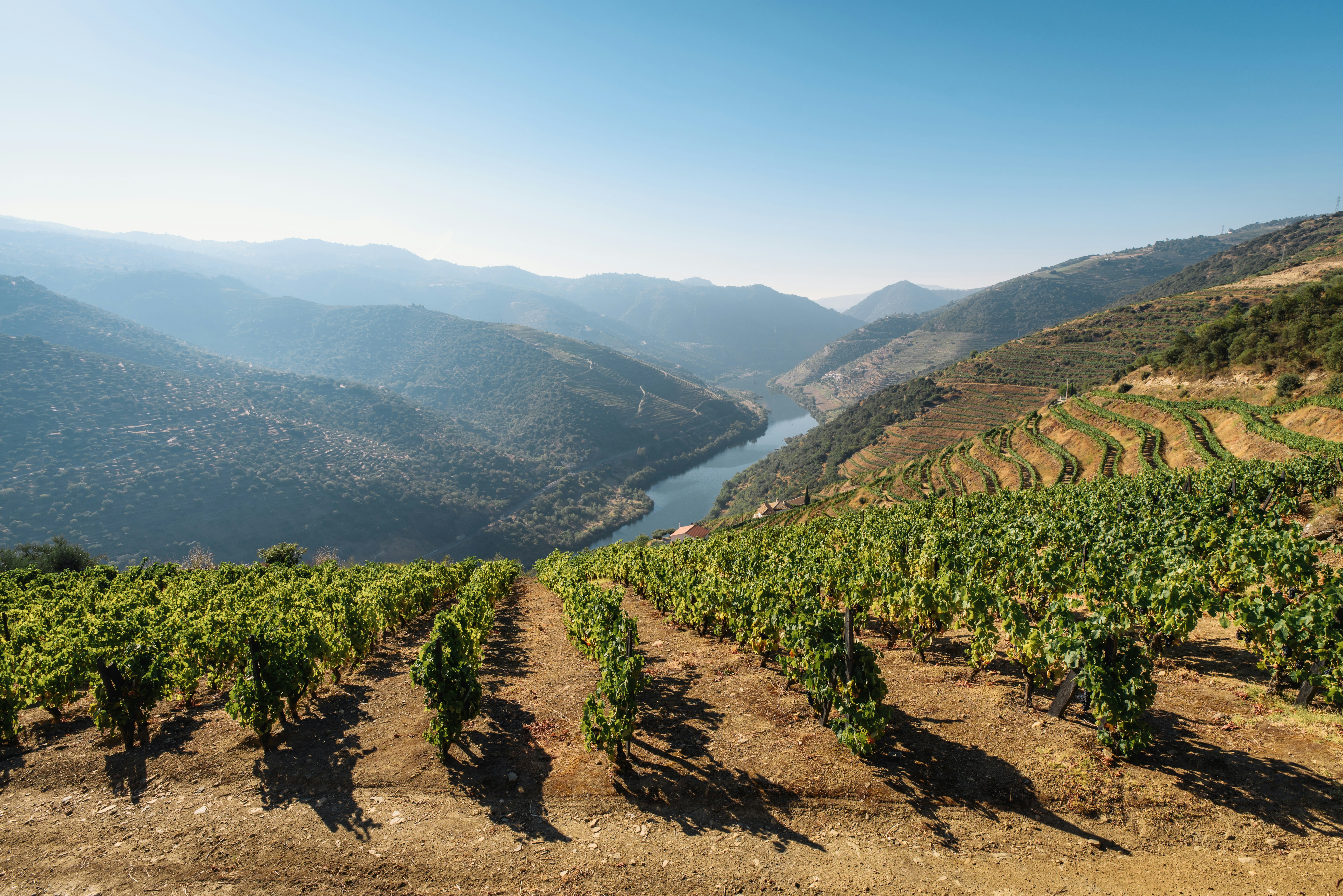 Douro & Alto Minho: Ruta de los Vinos del Norte 2