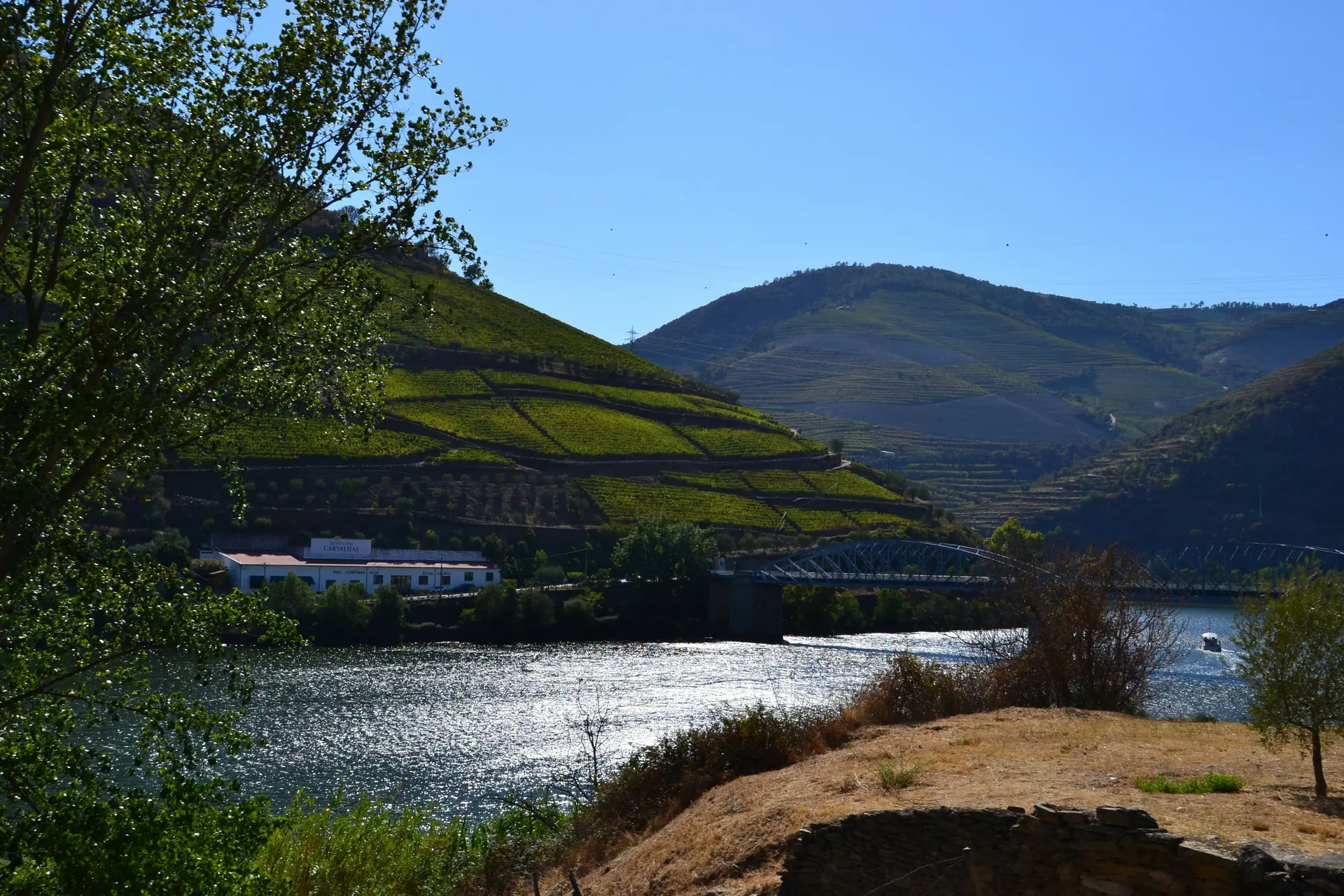 Douro Sonnenuntergangs-Bootsfahrt