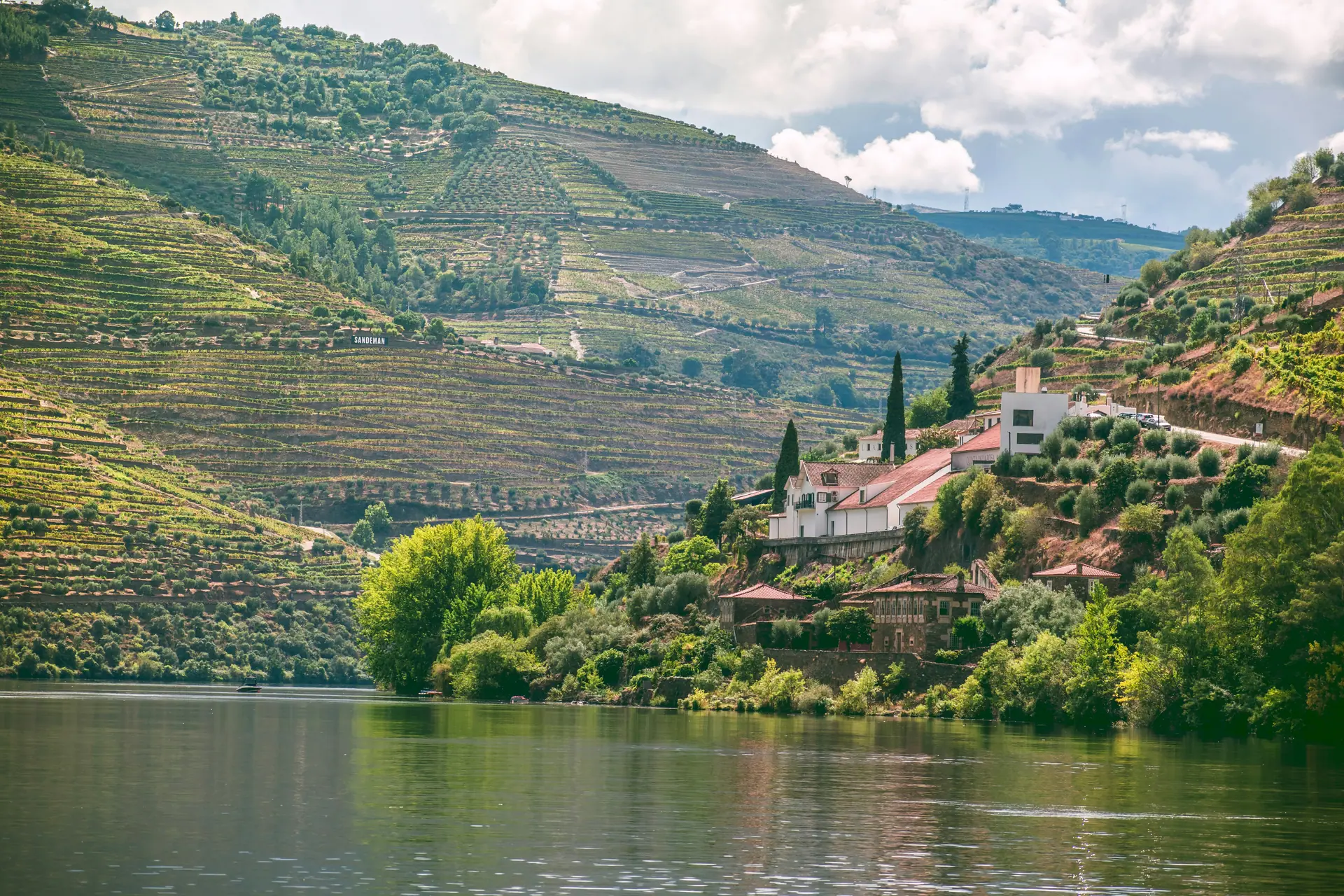 Douro Sunset Boat Cruise 6