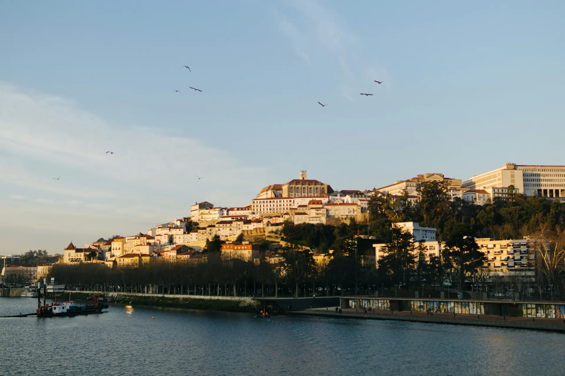 Wissen und Mystik: Coimbra und Templer 3