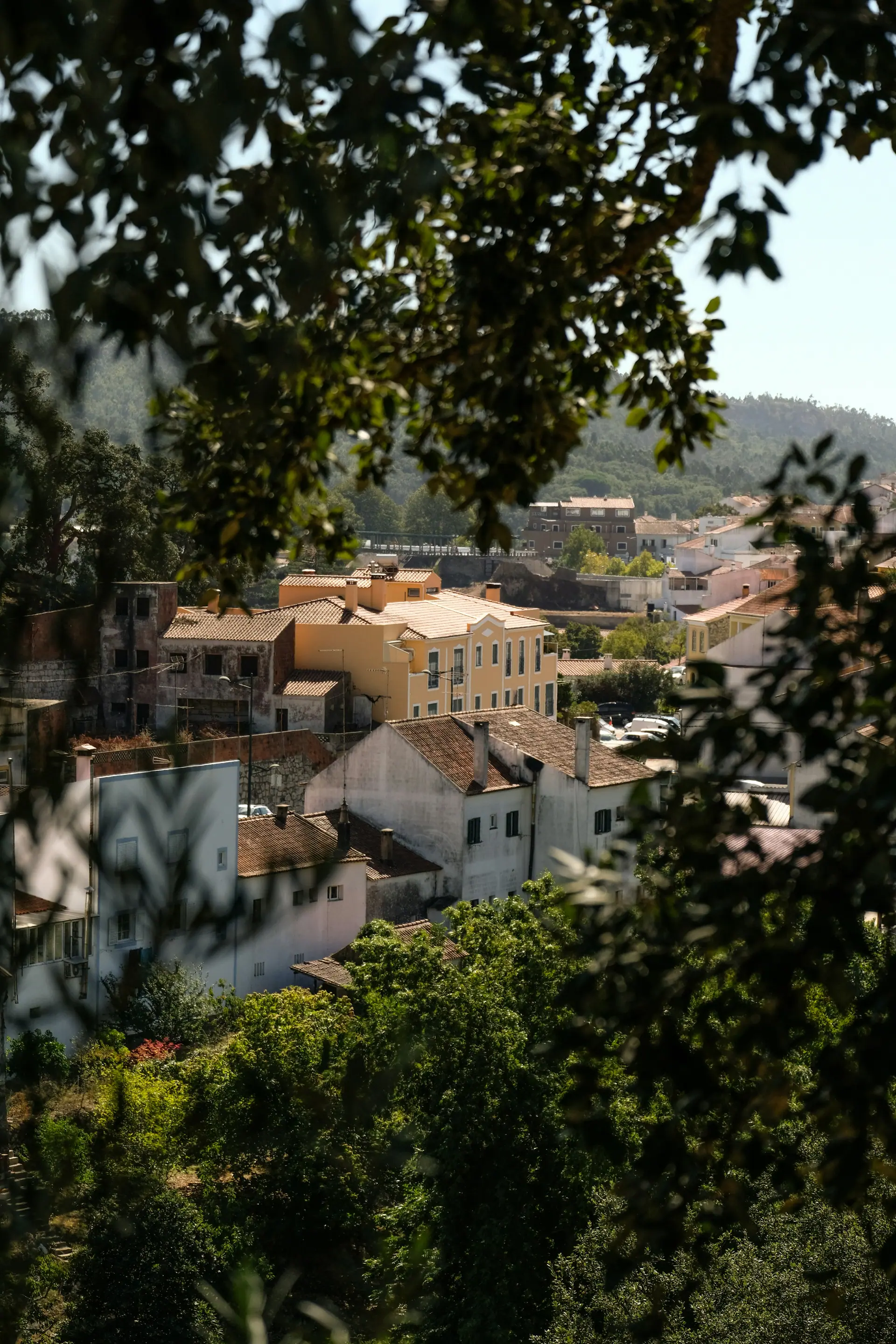 Der Garten des Südens: Bergflucht in der Serra de Monchique 3