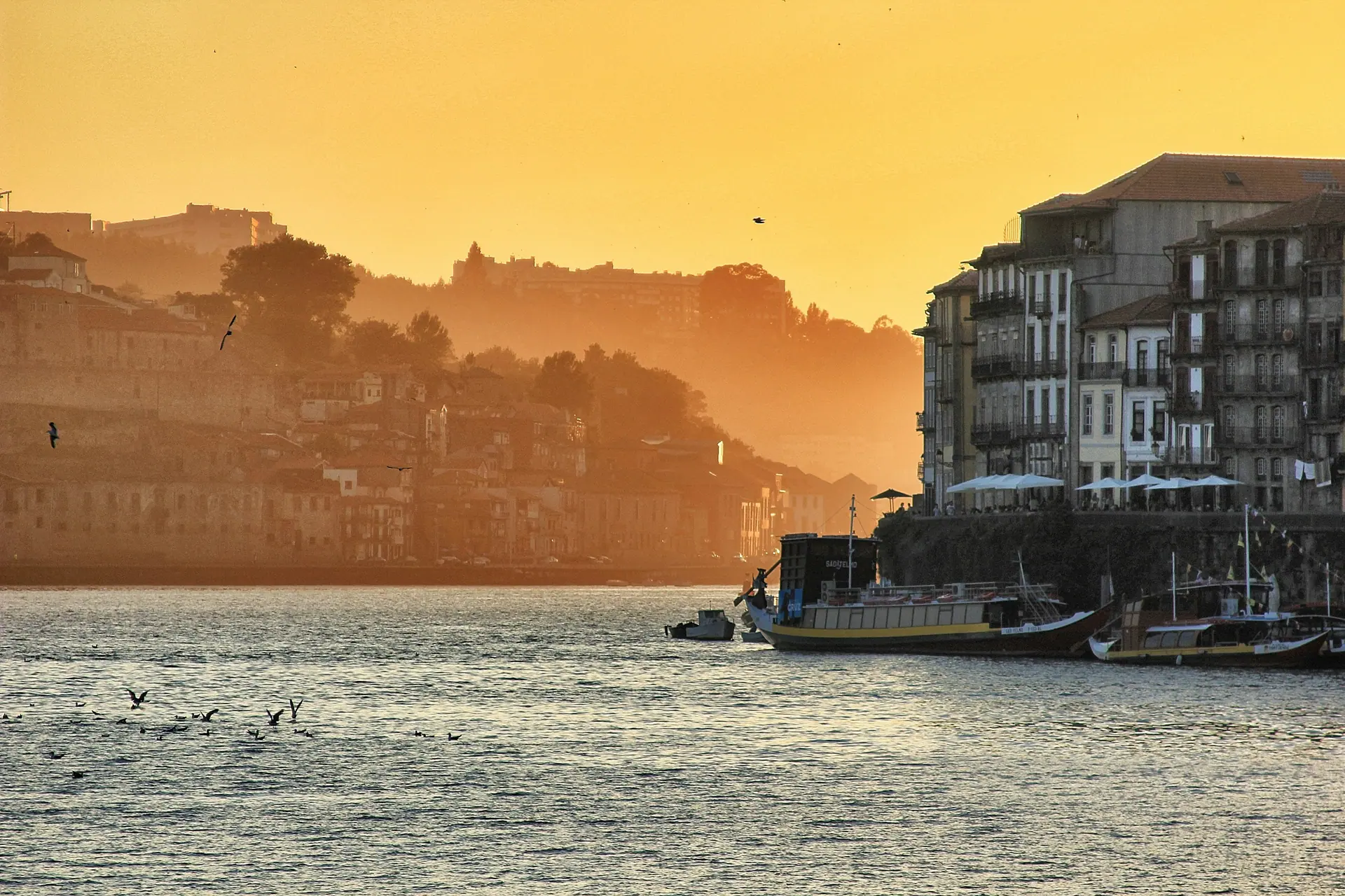 Douro & Alto Minho: Ruta de los Vinos del Norte