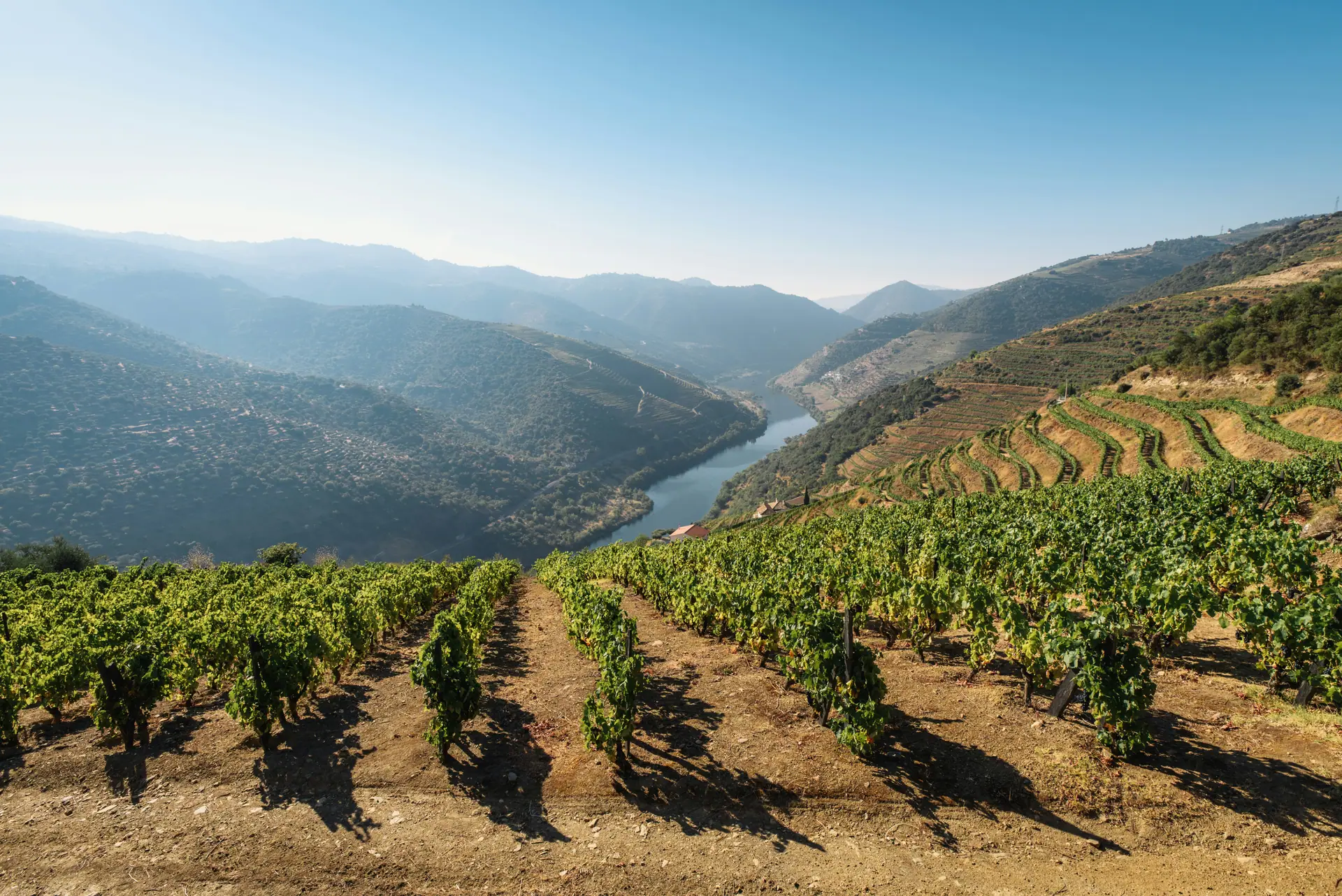 Douro & Alto Minho: Nördliche Weinroute 2
